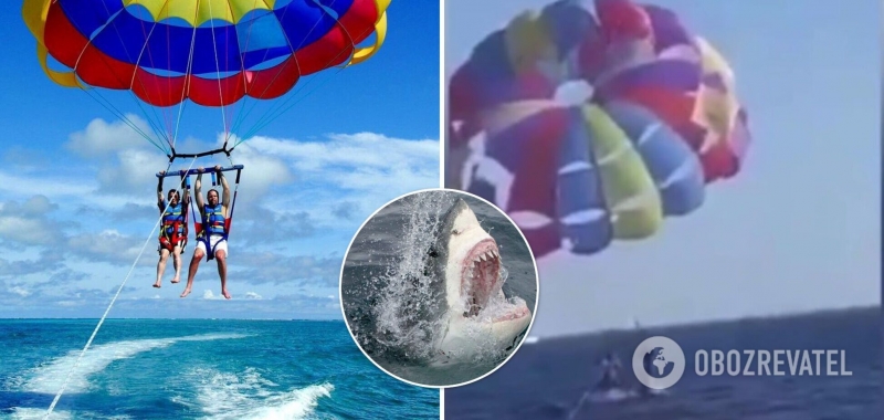На курорте Красного моря акула выпрыгнула из воды и откусила пятку парапланеристу. Видео момента