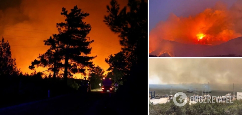 В Турции продолжилась борьба с лесными пожарами, задержан подозреваемый в поджогах. Фото и видео