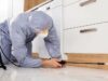 Уборка после травли тараканов: особенности услуги, как заказать?