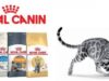 Корм Royal Canin: какой же выбрать для своего питомца?