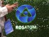 «Росатом» получит акции ДВМП в качестве имущественного взноса России