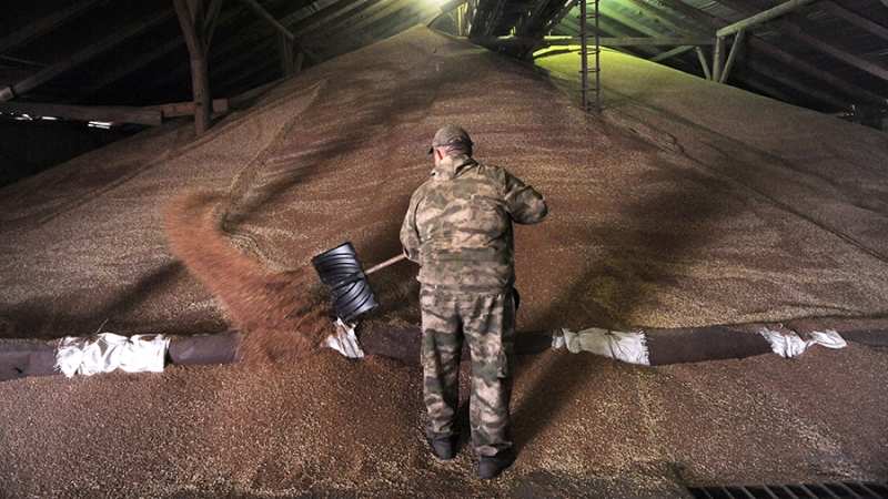 Правительство временно запретило экспорт твердой пшеницы из России
