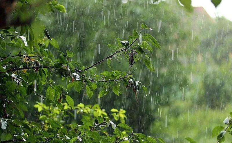 Лето в Украине начнется неделей проливных дождей, шквалов и торнадо 