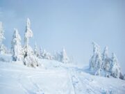 Один из регионов завалило снегом по колено: украинцев предупредили об опасности