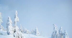 Один из регионов завалило снегом по колено: украинцев предупредили об опасности