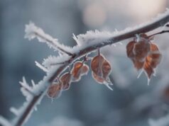 Аномальное тепло в Украине сменится похолоданием, которое больше всего затронет два региона