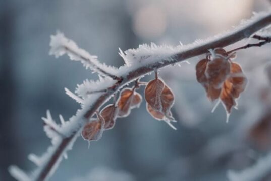 Аномальное тепло в Украине сменится похолоданием, которое больше всего затронет два региона