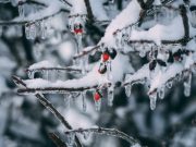 Теплый циклон уступит борьбу холодному антициклону: украинцев предупредили о сильных морозах