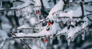 Теплый циклон уступит борьбу холодному антициклону: украинцев предупредили о сильных морозах