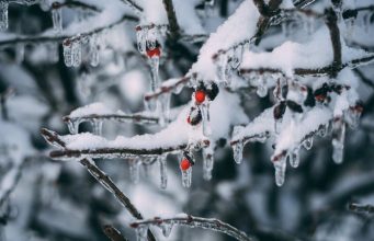 Теплый циклон уступит борьбу холодному антициклону: украинцев предупредили о сильных морозах