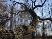 Зима сдается: синоптики рассказали, какой будет последняя неделя февраля