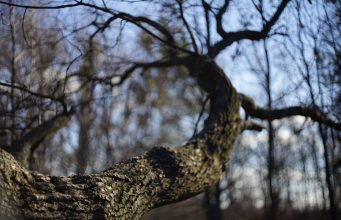 Зима сдается: синоптики рассказали, какой будет последняя неделя февраля