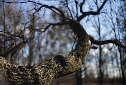 Зима сдается: синоптики рассказали, какой будет последняя неделя февраля