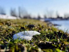 В Украину врывается настоящая весна: температура воздуха удивит в ближайшие дни