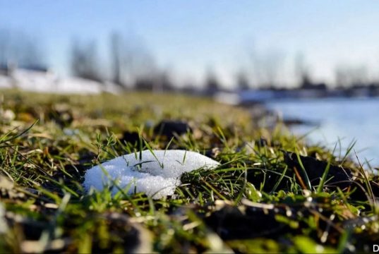 В Украину врывается настоящая весна: температура воздуха удивит в ближайшие дни