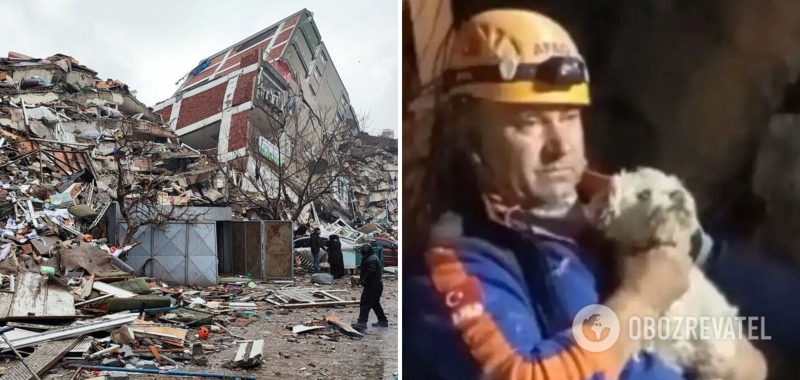 В Турции из-под завалов разрушенного дома спасли собачку, которая 25 дней была рядом с телом хозяина. Видео
